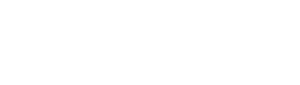 Firm media branding logo | lavinia k chong m D