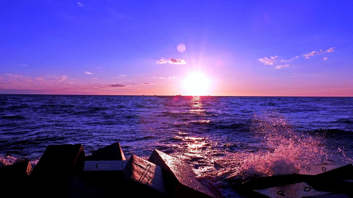 Late summer blog post image